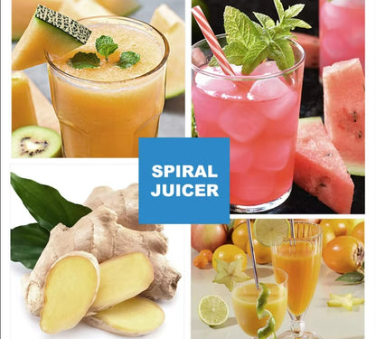 0.5T/Hour Cold Press Juicer