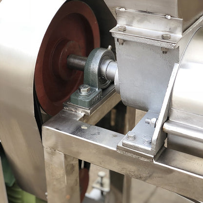 0.5T/Hour Cold Press Juicer