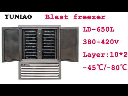 LD-650L  quick freezer -40 degree 10-15 trays dumpling meat chicken fish chiller blast freezing CFR BY SEA